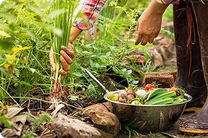 agriculture